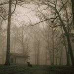 Haunted by the Skeletons in My Wife's Closet
