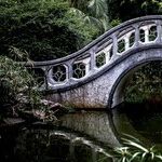 Bridging the Gap With Daughters-in-Law