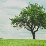 The Hidden Cause Behind a Loved One's Withdrawal
