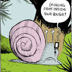 Strange Brew for Jun 14, 2014