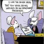 Strange Brew for Jun 21, 2014
