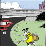 Strange Brew for Jul 12, 2014