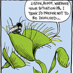 Strange Brew for Jul 16, 2014