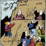 Strange Brew for Aug 19, 2014
