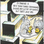 Strange Brew for Apr 02, 2026