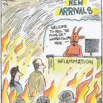 Strange Brew for May 28, 2026