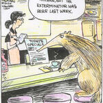 Strange Brew for Jun 13, 2026