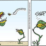 B.C. for Feb 17, 2026