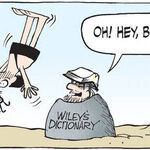 B.C. for Feb 18, 2026