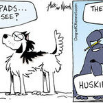 Dogs of C-Kennel for Feb 15, 2012