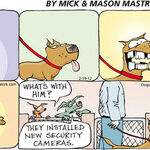 Dogs of C-Kennel for Feb 19, 2012