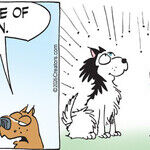 Dogs of C-Kennel