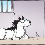Dogs of C-Kennel