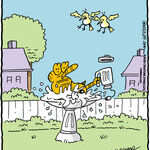 Heathcliff