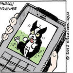 Zack Hill for Apr 02, 2012