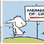 The Barn for Jul 15, 2014