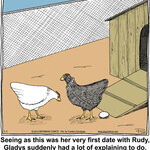 Chuckle Bros for Jan 01, 2014