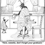 Chuckle Bros for Jan 08, 2014
