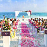 Brides and Bouquets 2025