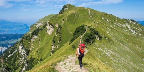 We Borrowed a Toyota Strategy To Set Family Goals for the New Year