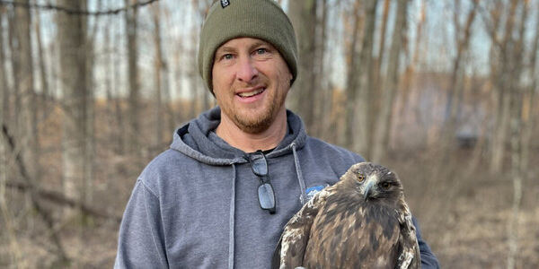 We Can't Protect What We Don't Understand: the Case of Eastern Golden Eagles