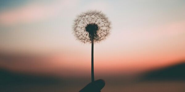 Boundaries Are Not Selfish