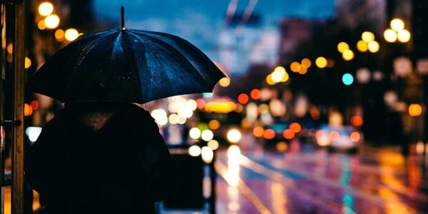 Sibling Relationship in Shambles