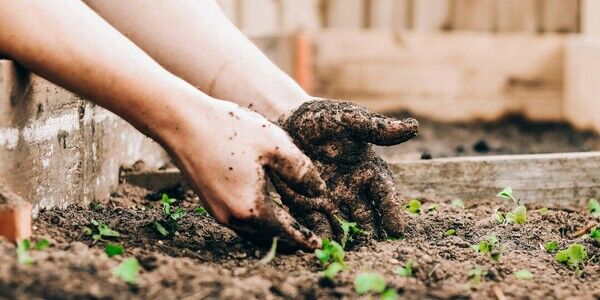 Look for the Beauty Around You