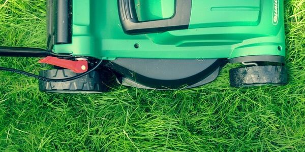 The Grass Is a Lot Longer on the Other Side