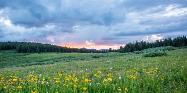 The Hopeful Promise of Easter