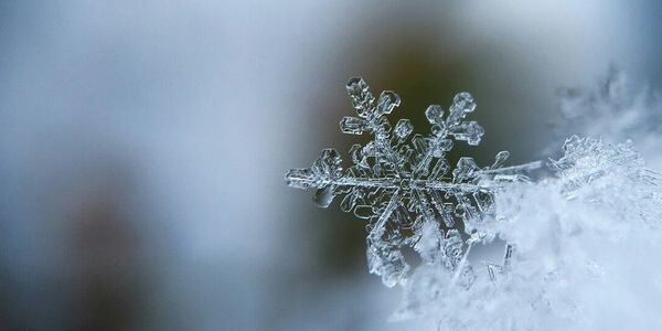 Laughing Off Accountability